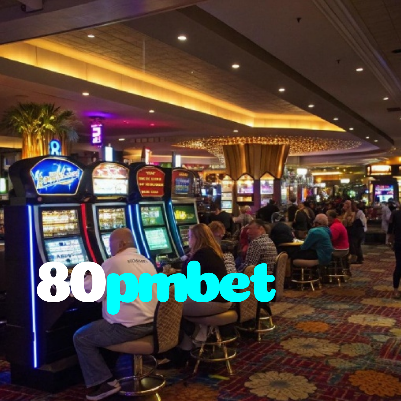 80pmbet